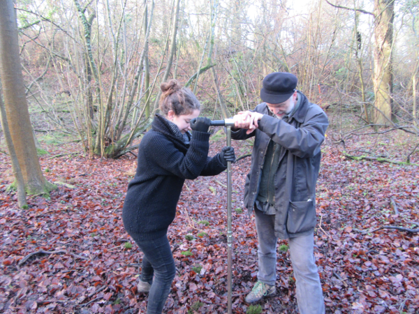 Photograph of coring being undertaken in a copse